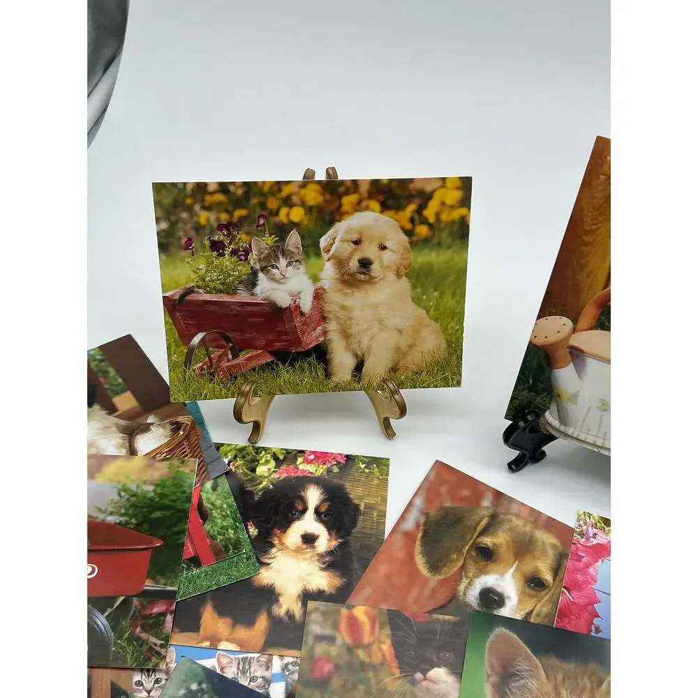 Lot of 22 Don Ayres Blank Greeting Cards Cats Dogs Puppies Kittens USA 2003-2005